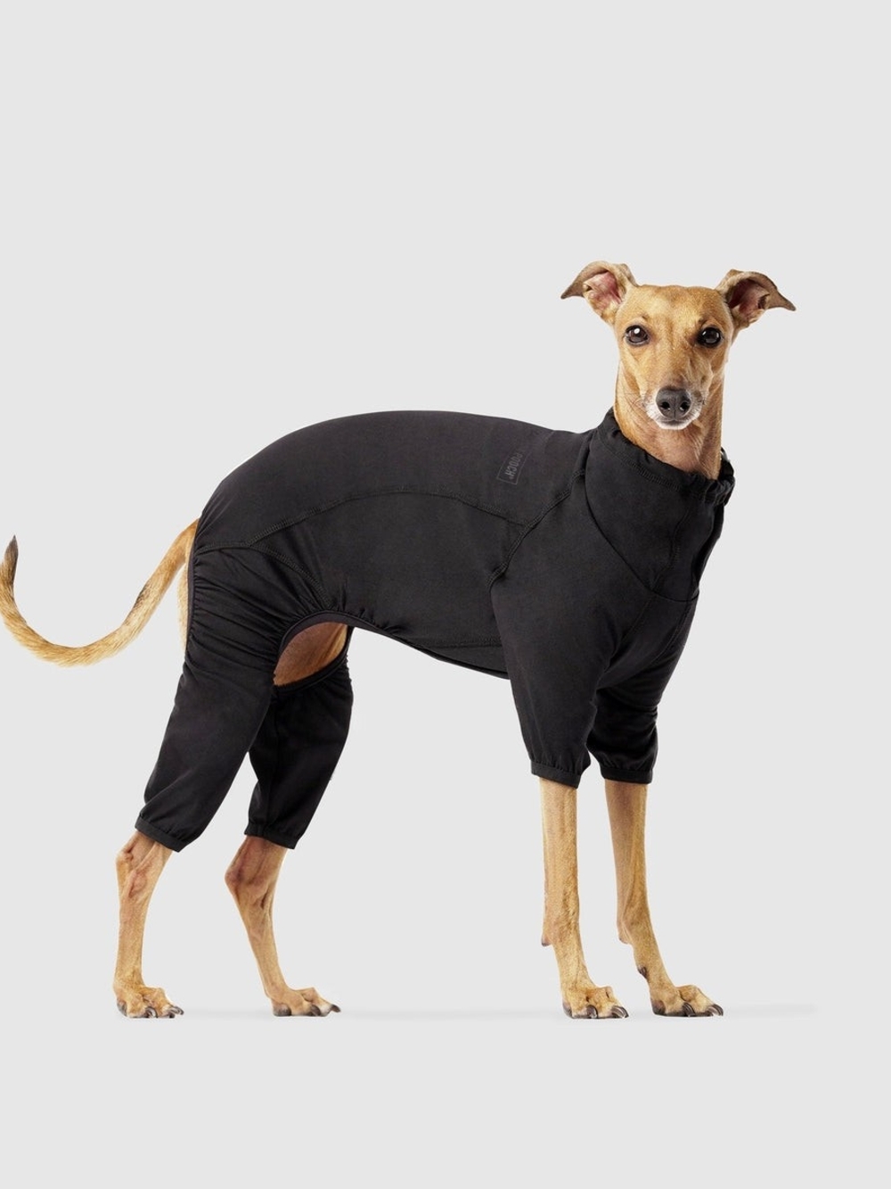 Canada Pooch Black Full-Coverage Dog Body Suit - Protective Wear